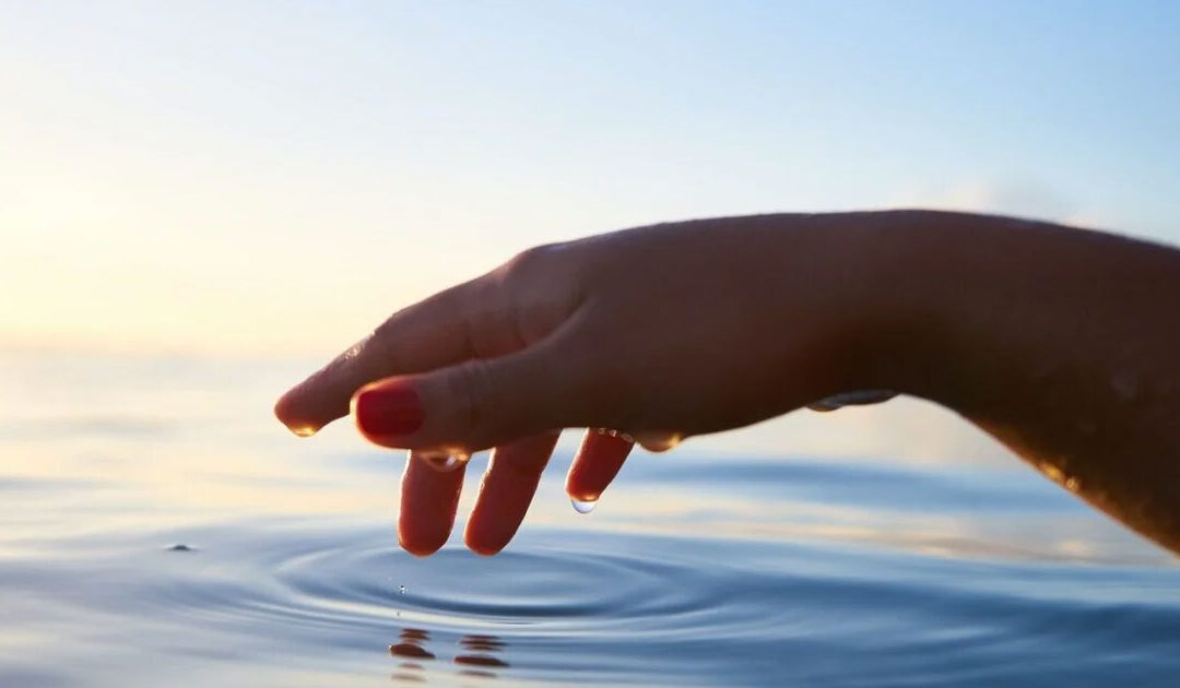 Mądrość naszego ciała, czyli gdzie prowadzą nas uczucia?